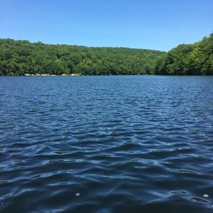 Meet your Posher, Laurie